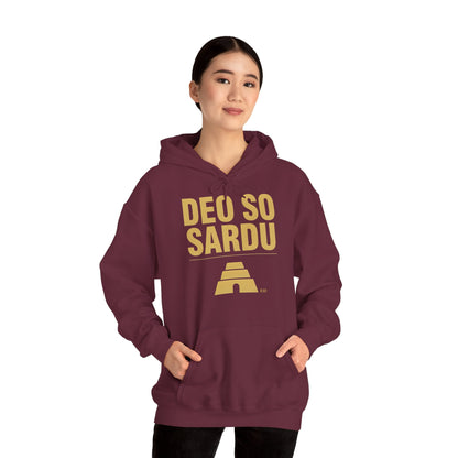 Hoodie mit sardischem Stolz | Deo So Sardu, warm geschnitten