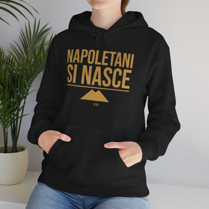 Neapolitan Pride Hoodie | Napoletani Si Nasce Fit