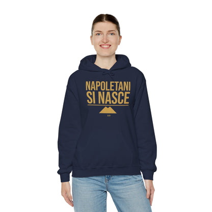 Neapolitan Pride Hoodie | Napoletani Si Nasce Fit