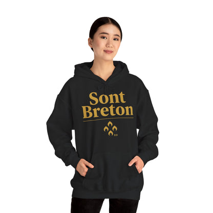 Breton Pride Hoodie | Sont Breton Warm Fit