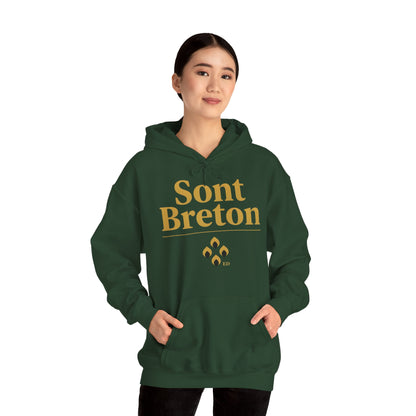 Breton Pride Hoodie | Sont Breton Warm Fit