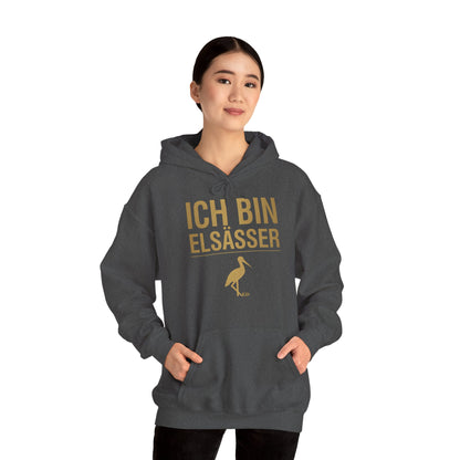 Bluza z kapturem z dumą alzacką | Ich Bin Elsässer Warm Fit