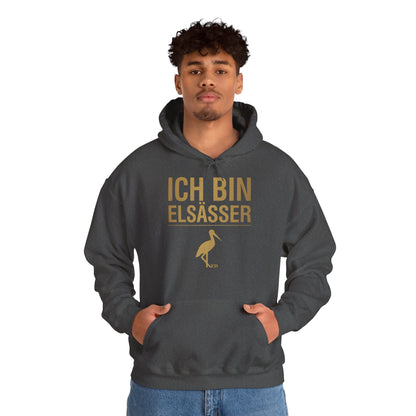 Bluza z kapturem z dumą alzacką | Ich Bin Elsässer Warm Fit