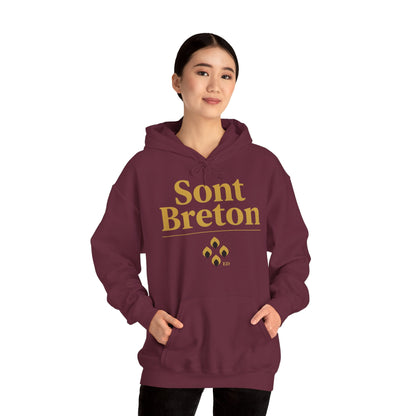 Breton Pride Hoodie | Sont Breton Warm Fit