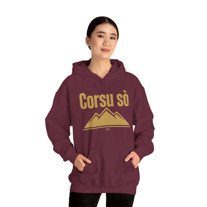 Corsican Pride Hoodie | Corsu Sò Warm Fit