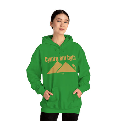 Felpa con cappuccio dell'orgoglio gallese | Modello caldo Cymru Am Byth
