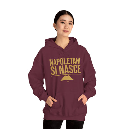 Neapolitan Pride Hoodie | Napoletani Si Nasce Fit