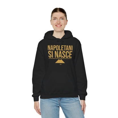 Neapolitan Pride Hoodie | Napoletani Si Nasce Fit