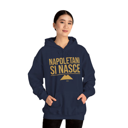 Neapolitan Pride Hoodie | Napoletani Si Nasce Fit