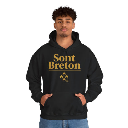 Breton Pride Hoodie | Sont Breton Warm Fit