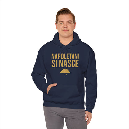 Neapolitan Pride Hoodie | Napoletani Si Nasce Fit