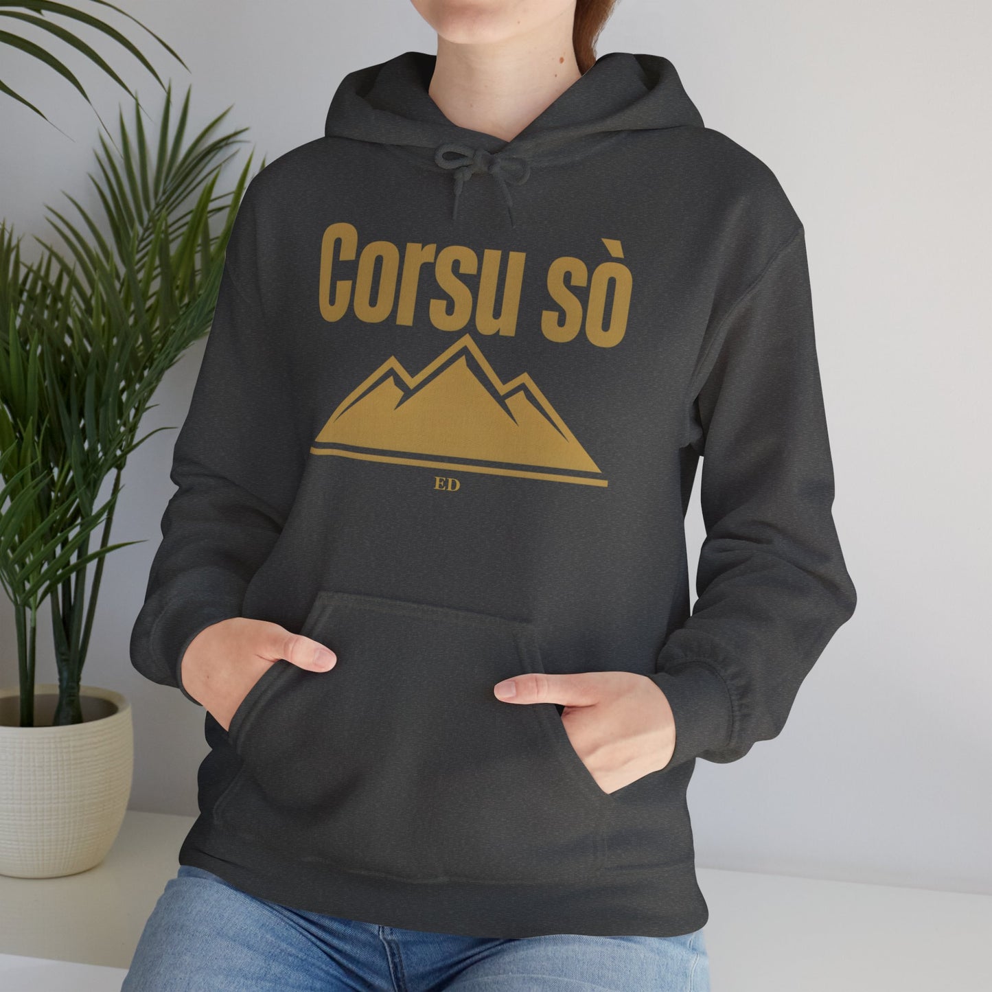 Corsican Pride Hoodie | Corsu Sò Warm Fit