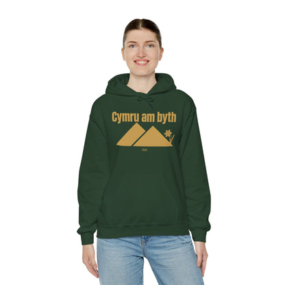 Felpa con cappuccio dell'orgoglio gallese | Modello caldo Cymru Am Byth
