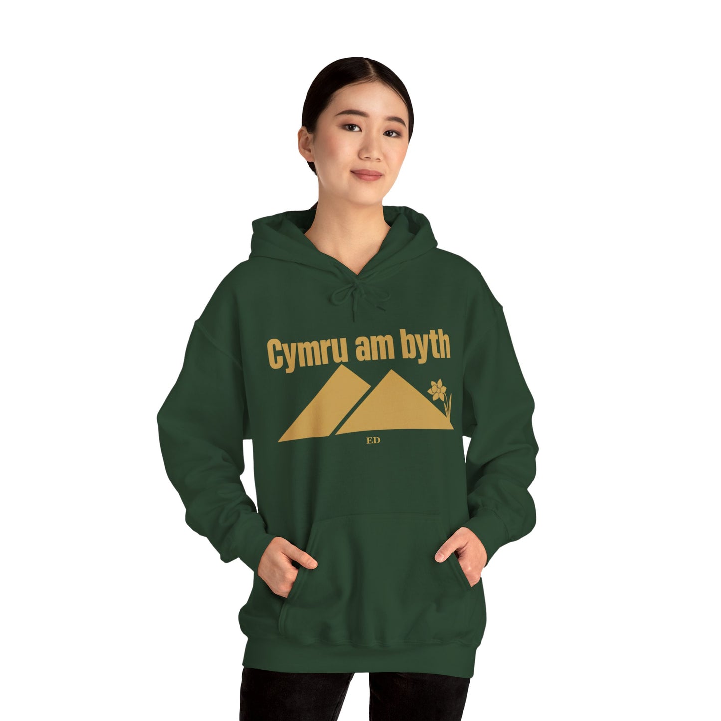 Felpa con cappuccio dell'orgoglio gallese | Modello caldo Cymru Am Byth