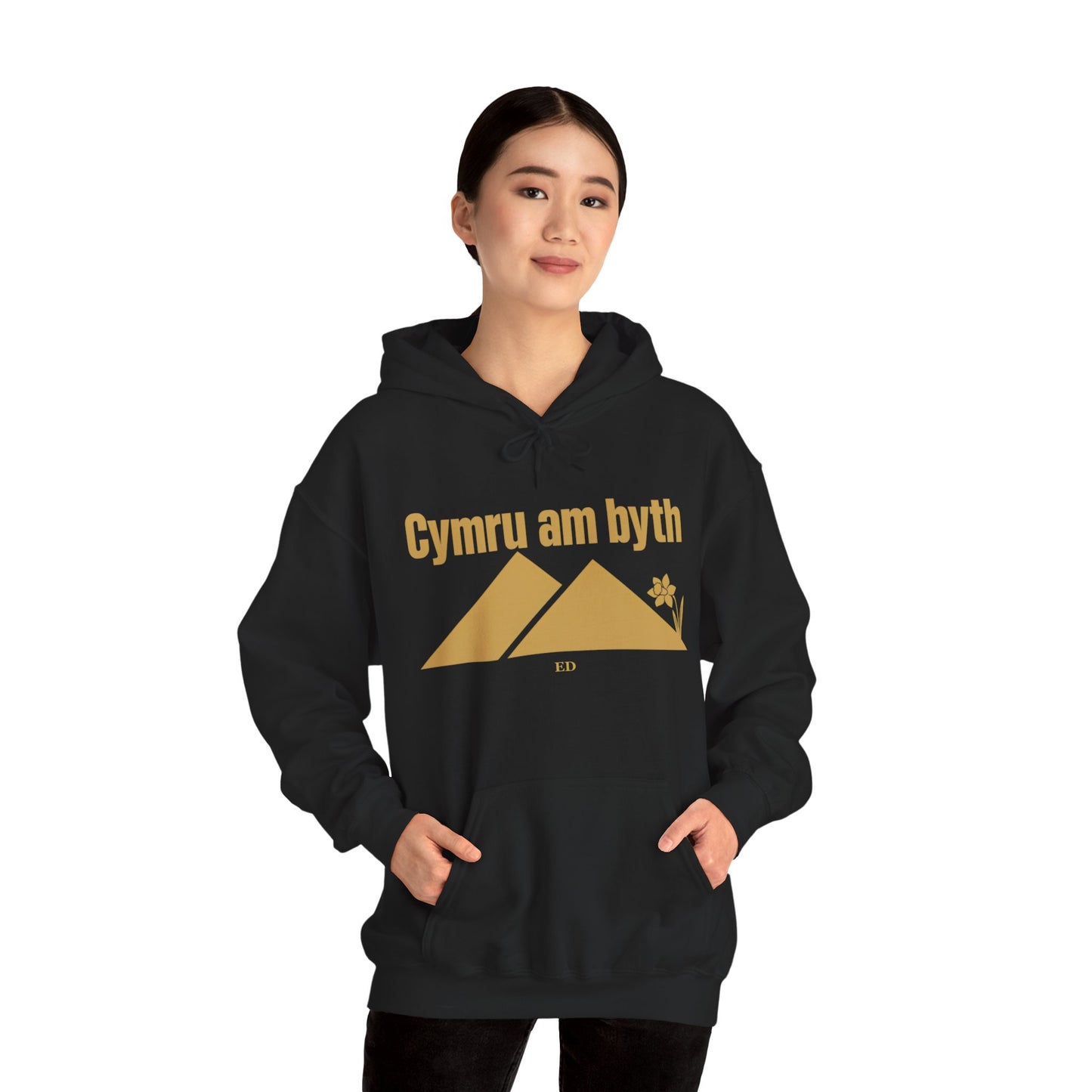 Felpa con cappuccio dell'orgoglio gallese | Modello caldo Cymru Am Byth