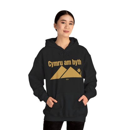 Felpa con cappuccio dell'orgoglio gallese | Modello caldo Cymru Am Byth
