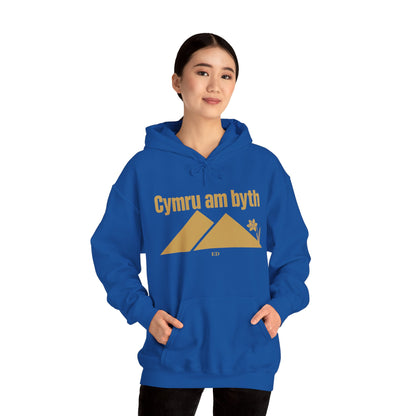 Felpa con cappuccio dell'orgoglio gallese | Modello caldo Cymru Am Byth