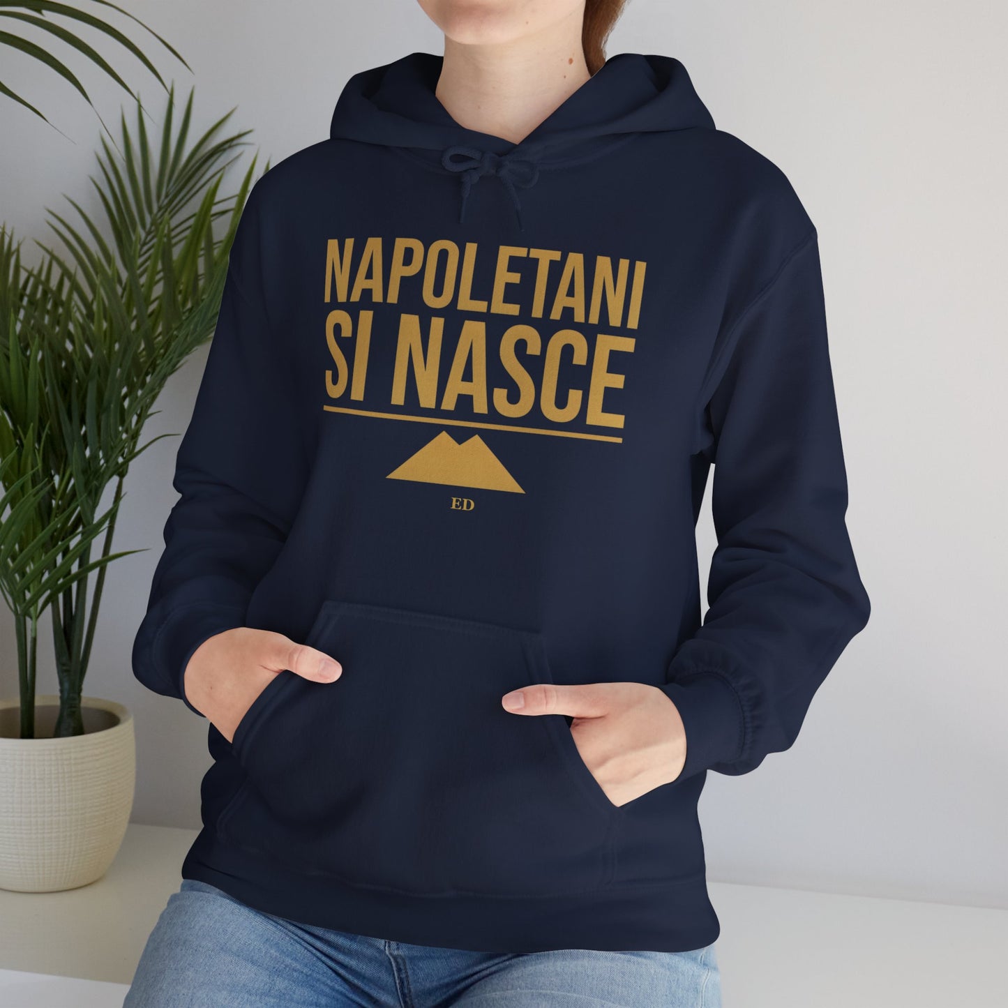 Neapolitan Pride Hoodie | Napoletani Si Nasce Fit