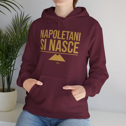 Neapolitan Pride Hoodie | Napoletani Si Nasce Fit