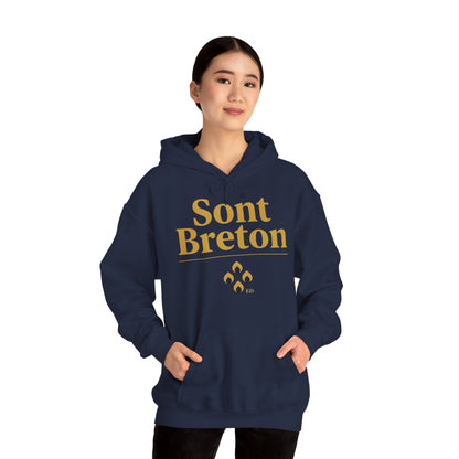 Breton Pride Hoodie | Sont Breton Warm Fit