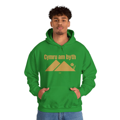 Felpa con cappuccio dell'orgoglio gallese | Modello caldo Cymru Am Byth