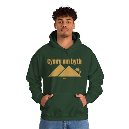 Felpa con cappuccio dell'orgoglio gallese | Modello caldo Cymru Am Byth